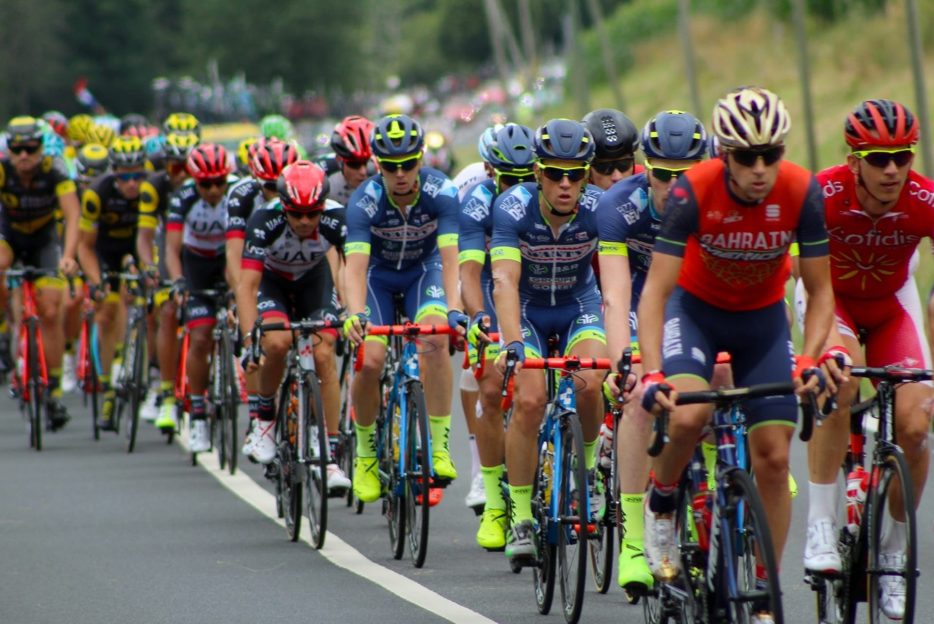 What Business Owners Can Learn From Professional Cycling Teams.
